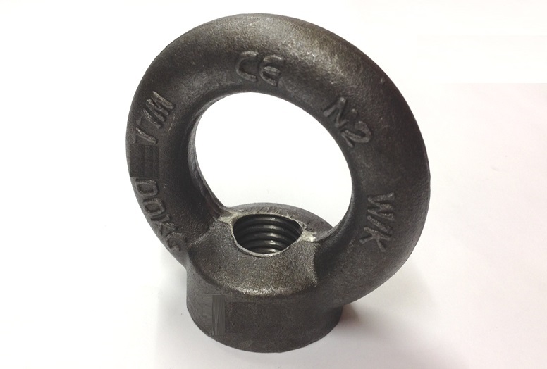 M24 LIFTING EYE NUT C15 DIN582